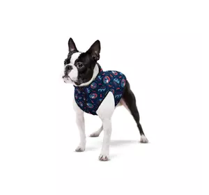 Курточка WAUDOG Clothes для собак, рисунок "Бэтмен красно-голубой", размер XS30